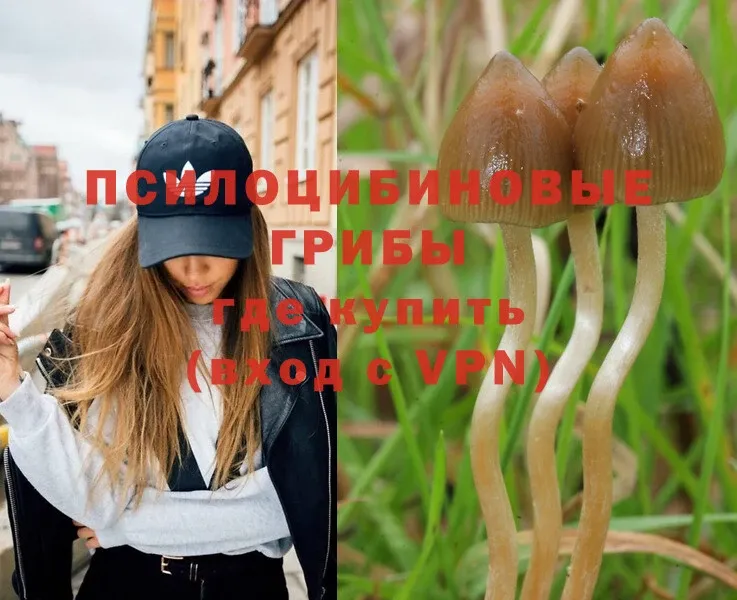 Псилоцибиновые грибы Magic Shrooms  Яровое 