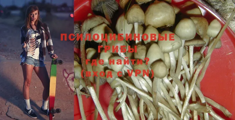 Галлюциногенные грибы MAGIC MUSHROOMS Яровое